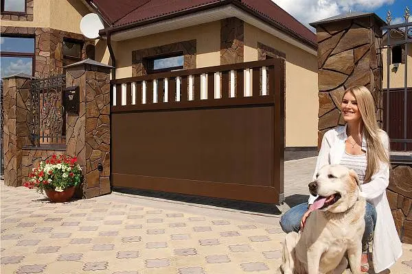 При покупке ворот пульт и сигнальная лампа в подарок 