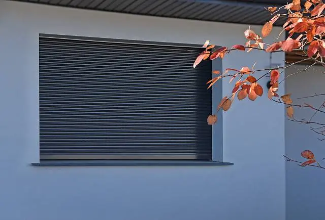 Пульт ДУ в подарок